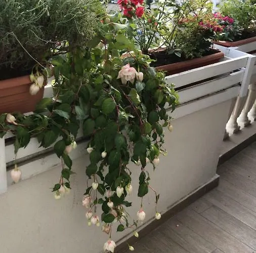 Apartino - Luxury View - Self Check-in Bukarest