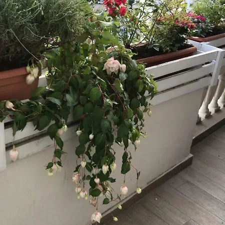 Apartino - Luxury View - Self Check-in Bucarest